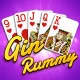 Gin Rami - Jeu de cartes icon