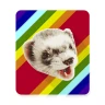 eFerret - Alerty na eBay icon