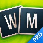 Word Master Pro - Polski icon