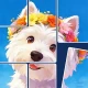 Jigsort™ Puzzel: Solitaire Fun icon