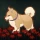 カゲボウシ icon