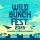 WILD BUNCH FEST icon