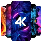 4K Live-Hintergrund icon