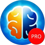 Denkspiele Pro icon