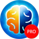 Denkspiele Pro