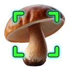 Identificador de Hongos icon