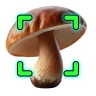 Identificador de Hongos icon