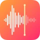 Enregistreur Vocal: Dictaphone icon