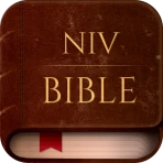 NIV Bible version, Offline app icon