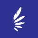 ROCMN Pocket icon