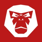 RideLink icon