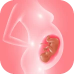 Track pregnancy & baby growth icon