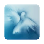 Pismo Święte z komentarzem icon