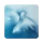 Pismo Święte z komentarzem icon