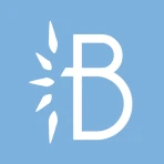 Bosko icon