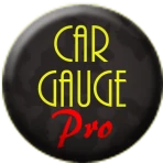 Car Gauge Pro (OBD2 + Enhance) icon