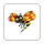Expressen Nyheter icon