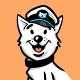 RTSP Camera icon