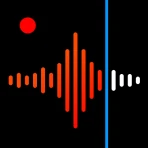Voice Recorder & Voice Memos icon