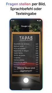 Google screenshot 3
