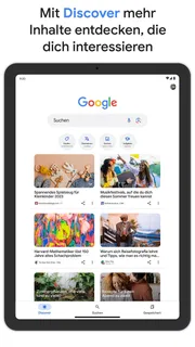 Google screenshot 6