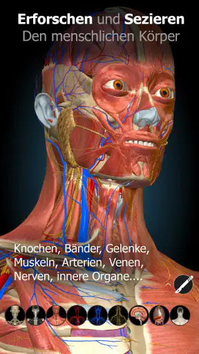 3D-Anatomie - Anatomy Learning screenshot 1