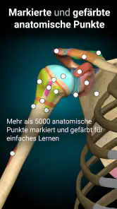 3D-Anatomie - Anatomy Learning screenshot