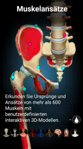 3D-Anatomie - Anatomy Learning screenshot