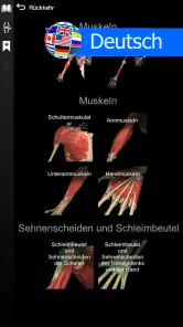 3D-Anatomie - Anatomy Learning screenshot