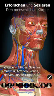 3D-Anatomie - Anatomy Learning screenshot 7