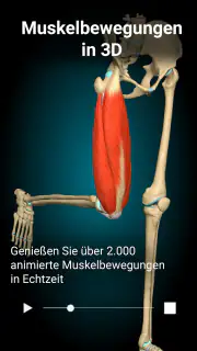 3D-Anatomie - Anatomy Learning screenshot 8