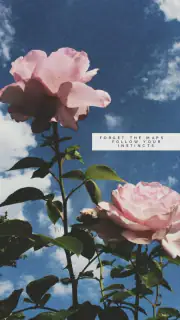 aesthetic wallpaper screenshot 4