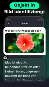 AI Chat · KI Chatbot Assistant screenshot