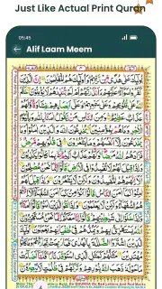 Al Quran MP3 mit Übersetzung screenshot 6