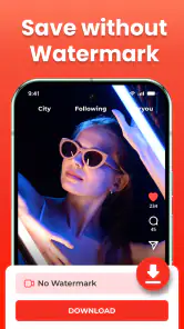 Alle Video-Downloader  Anysave screenshot