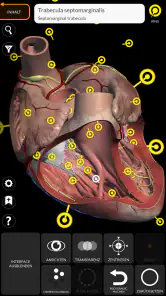 Anatomie - 3D Atlas screenshot