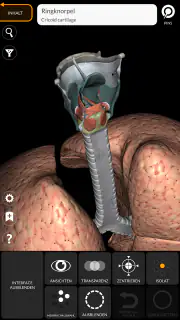 Anatomie - 3D Atlas screenshot 7