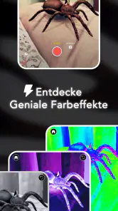 AR Spinnen: Erschrecke Freunde screenshot