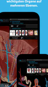 Atlas der Humananatomie 2025 screenshot
