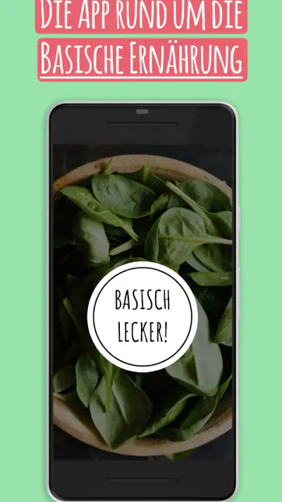 Basische Ernährung screenshot 1