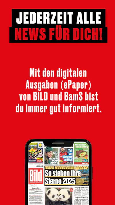 BILD ePaper App screenshot 1