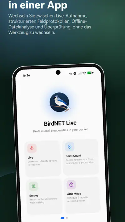 BirdNET Live screenshot 1