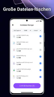 BlazeClean screenshot 2