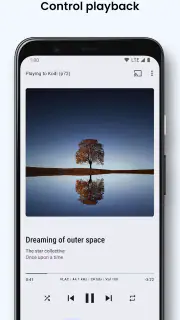 BubbleUPnP UPnP/DLNA Lizenz screenshot 4