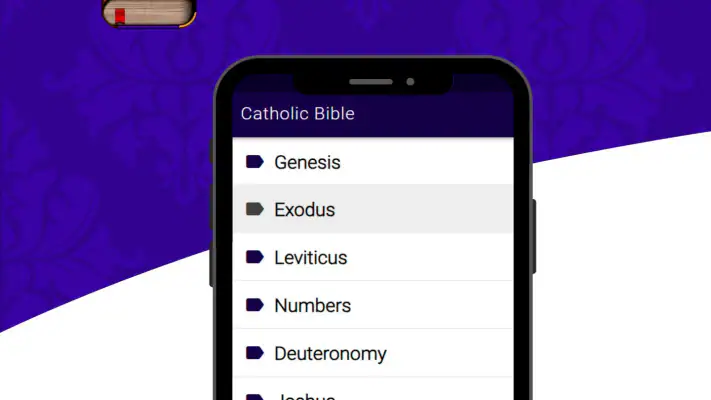 Catholic Bible Douay Rheims screenshot 1