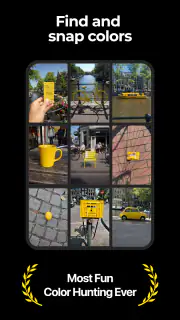 Color Hunter screenshot 8