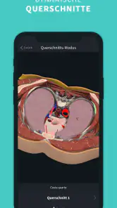 Complete Anatomy screenshot