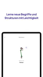 Daily Anatomy Lernkarten screenshot