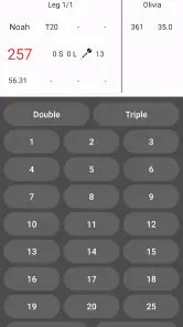 Darts Zähler: Punkterechner screenshot