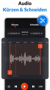 Diktiergerät & Sprachmemos screenshot